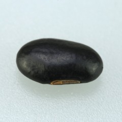 妙耕生态黑豆