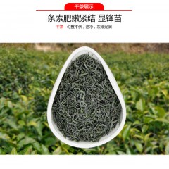 汉中绿茶